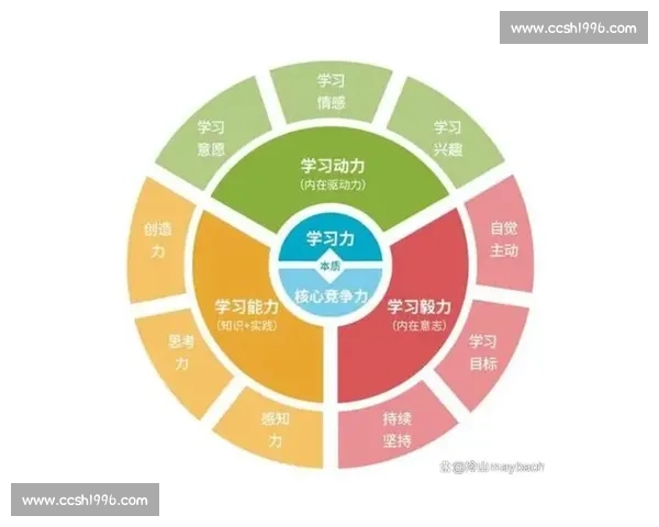以提升个人核心突破能力为导向的全面成长路径探索与实践