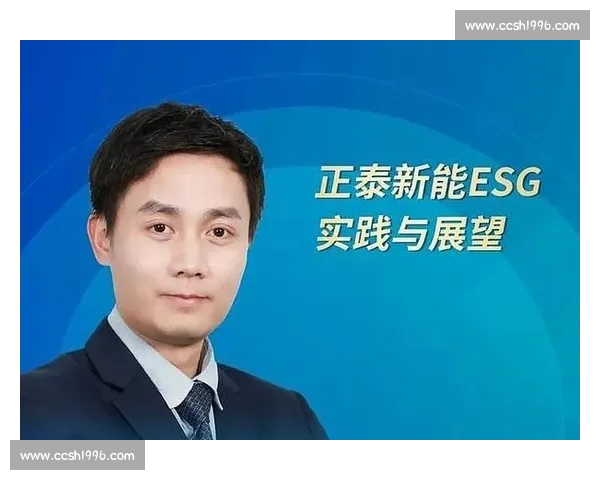 从实践经验出发，总结成功方法与应对挑战的实用策略