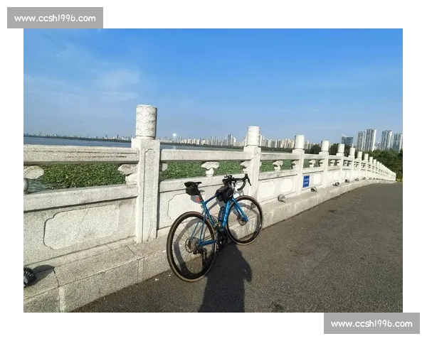 探索公路骑行的魅力与技巧畅享速度与自由的极致体验