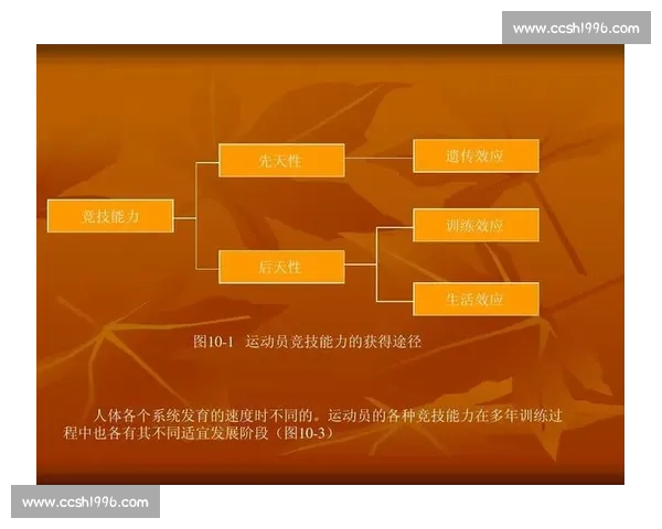 全面提升青少年身体素质与竞技体育运动能力的科学方法研究